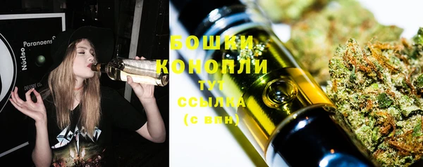 ешки Дмитровск
