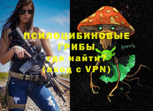 Альфа ПВП Алексин