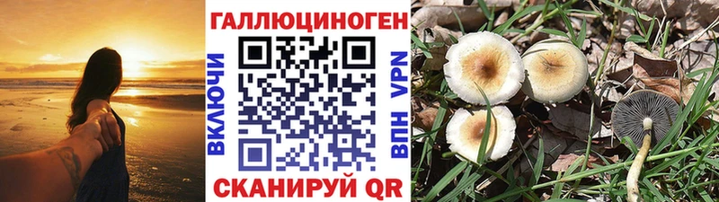 даркнет сайт  Долинск  Галлюциногенные грибы Psilocybine cubensis 